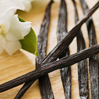 Teisseire Vanilla 0% Sugar-Free Syrup 1l