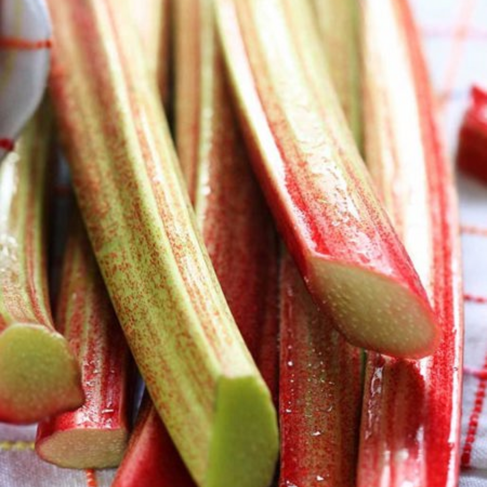 
                  
                    Teisseire Herbs & Flowers Rhubarb Syrup 700ml
                  
                